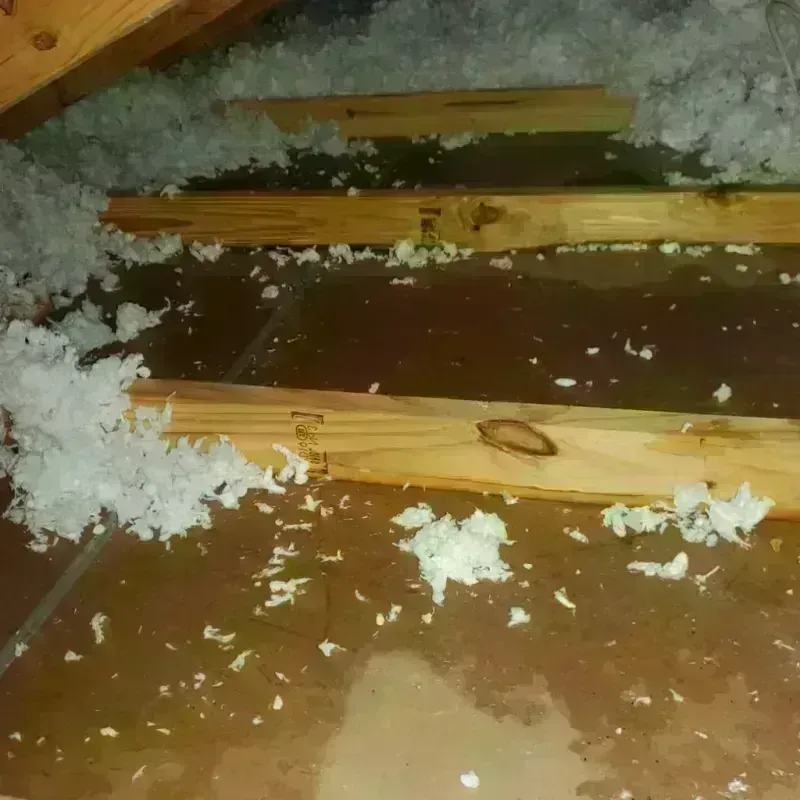 Attic Water Damage in Woodbridge, CT